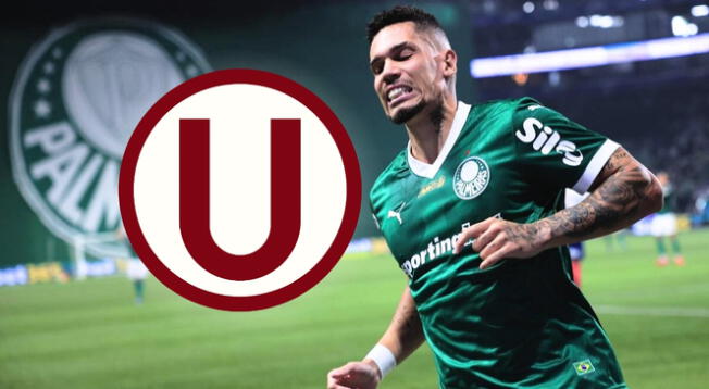 La importante baja que tendrá Palmeiras para enfrentar a Universitario por Copa Libertadores La importante baja que tendrá Palmeiras para enfrentar a Universitario por Copa Libertadores