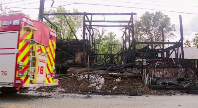 Más de doce gatos salvajes fallecieron en un incendio. Más de doce gatos salvajes fallecieron en un incendio.