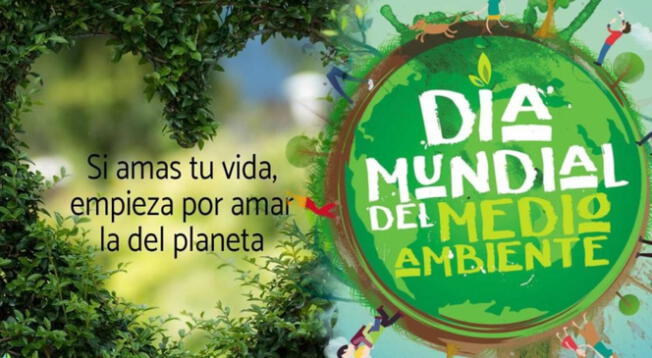 Día Mundial del Medio Ambiente: revisa las mejores frases para este 5 de junio Día Mundial del Medio Ambiente: revisa las mejores frases para este 5 de junio