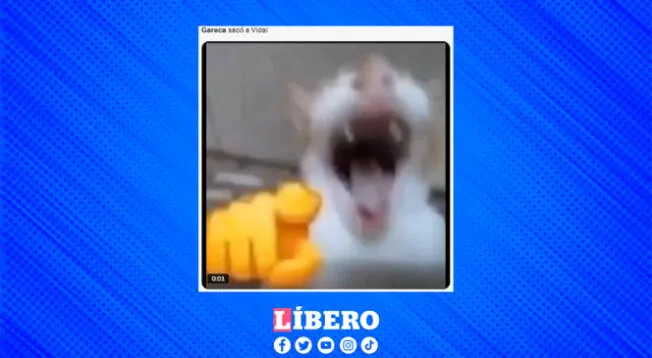La reacción de los aficionados al ver que sacaron a Vidal. La reacción de los aficionados al ver que sacaron a Vidal.