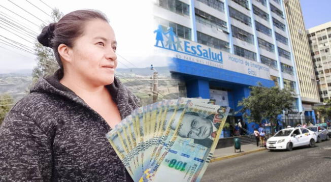 EsSalud confirma subvenciones para familias peruanas EsSalud confirma subvenciones para familias peruanas