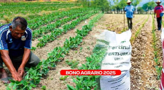 Bono Agrario: revisa si accedes al subsidio este 2025 Bono Agrario: revisa si accedes al subsidio este 2025