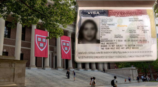 EE. UU. ordena reanudar las visas para estudiantes de Harvard. EE. UU. ordena reanudar las visas para estudiantes de Harvard.