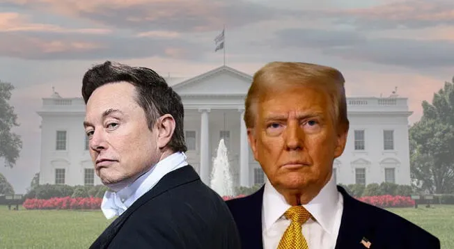 Elon Musk pidió disculpas por acusar a Donald Trump de ser parte del entorno del fallecido Jeffrey Epstein. Elon Musk pidió disculpas por acusar a Donald Trump de ser parte del entorno del fallecido Jeffrey Epstein.