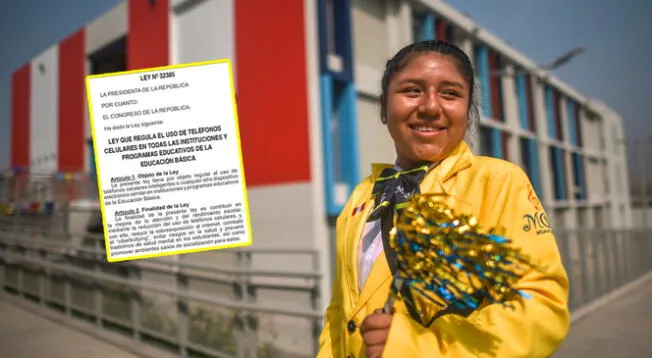 Gobierno peruano oficializó una ley dirigida a instituciones y programas educativos de la Educación Básica.