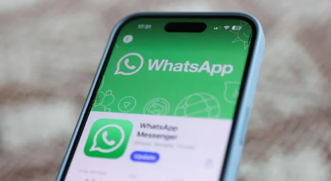 WhatsApp es una de las aplicaciones más usadas en Android e iOS. WhatsApp es una de las aplicaciones más usadas en Android e iOS.