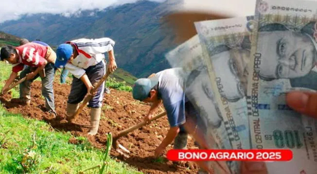 Bono Agrario: revisa si accedes al beneficio en 2025 Bono Agrario: revisa si accedes al beneficio en 2025
