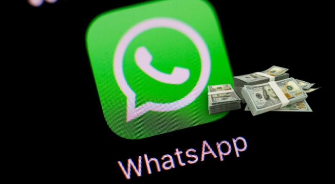 Llegan los anuncios a WhatsApp Business: cómo funciona. Llegan los anuncios a WhatsApp Business: cómo funciona.
