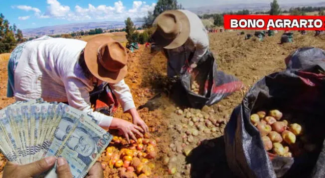 Bono Agrario: consulta el pago de este respaldo en junio 2025 Bono Agrario: consulta el pago de este respaldo en junio 2025