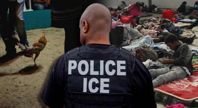 Una redada migratoria destapó una operación clandestina en EE. UU. Una redada migratoria destapó una operación clandestina en EE. UU.
