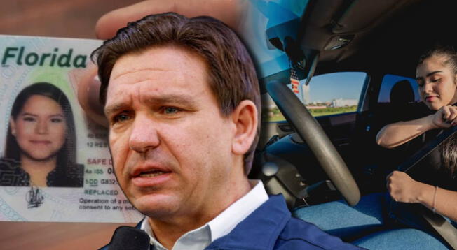 Florida requerirá un curso obligatorio para obtener la licencia de aprendizaje juvenil. Florida requerirá un curso obligatorio para obtener la licencia de aprendizaje juvenil.