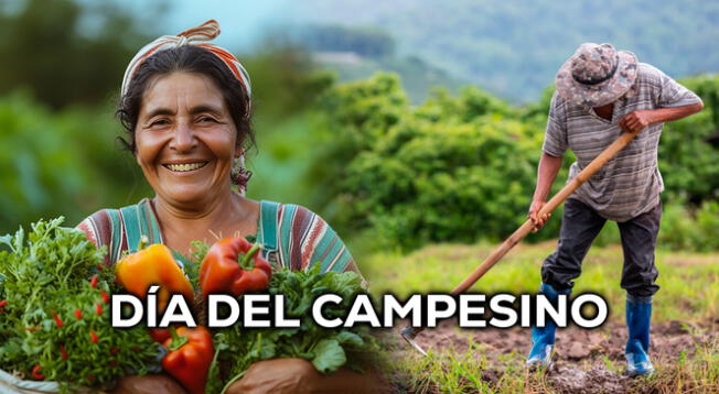 El Día del Campesino se celebra en Perú cada 24 de junio, por lo que te dejamos una lista de frases para compartir.