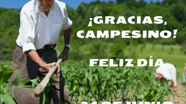 Este 24 de junio se celebra el Día del Campesino en Perú Este 24 de junio se celebra el Día del Campesino en Perú