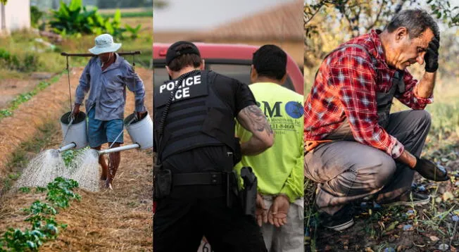 La presencia de ICE en las granjas de Texas trae consecuencias negativas. La presencia de ICE en las granjas de Texas trae consecuencias negativas.