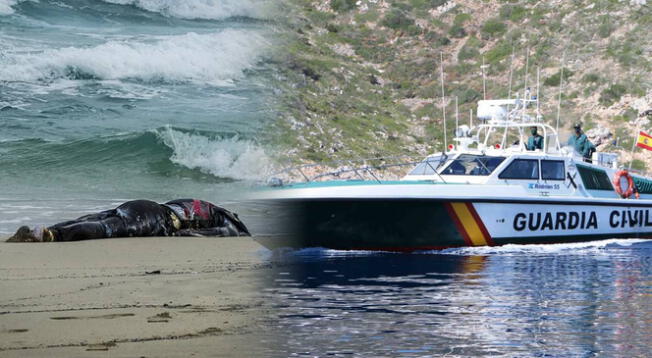 Hallan cuerpos esposados en manos y pies en una playa de un destino turístico. Hallan cuerpos esposados en manos y pies en una playa de un destino turístico.
