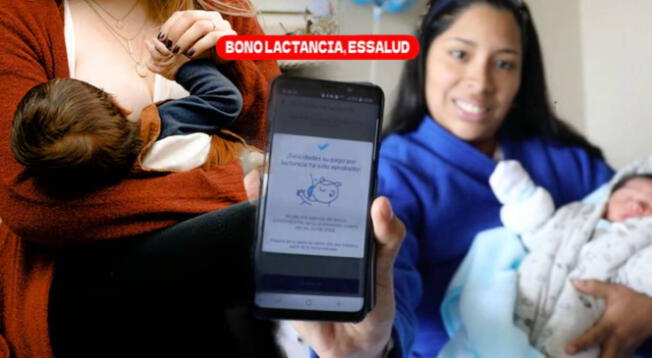 Bono Lactancia: conoce los requisitos para cobrar la subvención Bono Lactancia: conoce los requisitos para cobrar la subvención