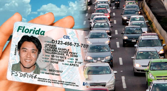 ¿Qué personas no podrán renovar en línea la licencia de conducir en Florida y por qué? ¿Qué personas no podrán renovar en línea la licencia de conducir en Florida y por qué?