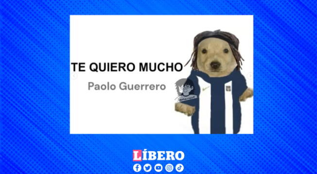 "Te quiero mucho Paolo Guerrero", es la frase viral de muchos hinchas. "Te quiero mucho Paolo Guerrero", es la frase viral de muchos hinchas.