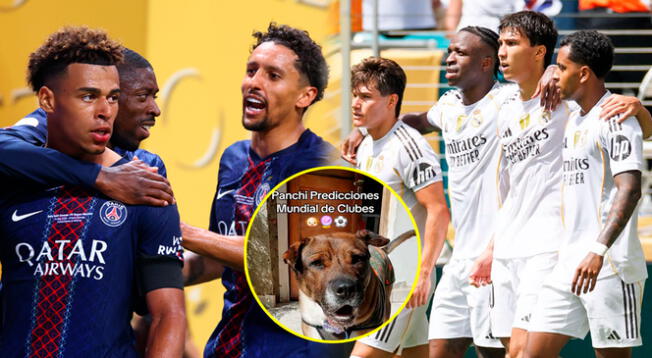 Esta mascota reveló qué equipo será el segundo finalista del Mundial de Clubes, Real Madrid o PSG. Esta mascota reveló qué equipo será el segundo finalista del Mundial de Clubes, Real Madrid o PSG.