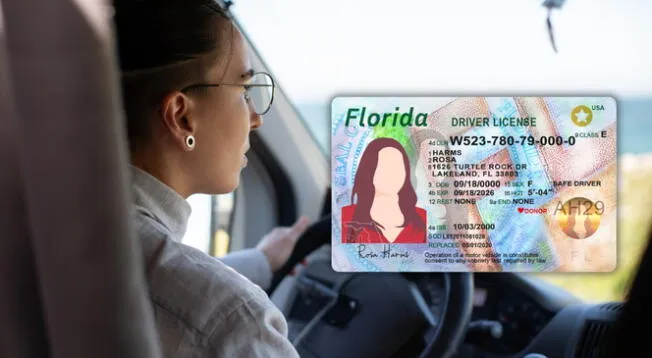 Nueva normativa para conductores en Florida. Nueva normativa para conductores en Florida.