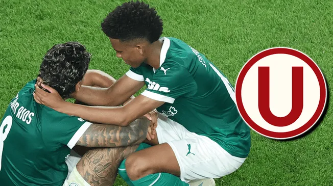 Un importante jugador podría dejar Palmeiras a semanas del partido ante Universitario por Copa Libertadores. Un importante jugador podría dejar Palmeiras a semanas del partido ante Universitario por Copa Libertadores.