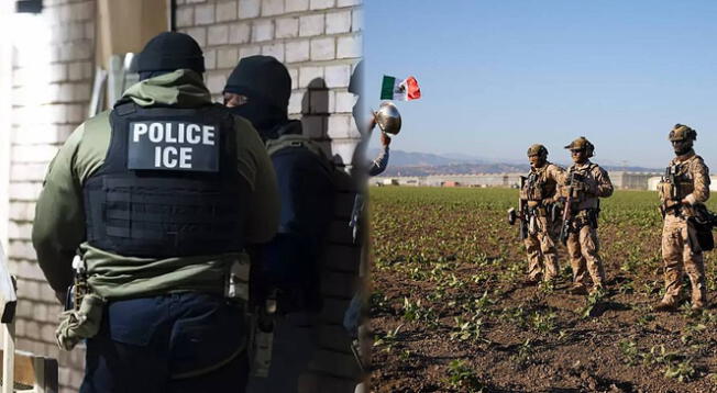 Redada realizada en una granja de cannabis dejó un fallecido de origen mexicano. Redada realizada en una granja de cannabis dejó un fallecido de origen mexicano.
