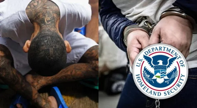 ICE arrestó a peligroso criminal. ICE arrestó a peligroso criminal.