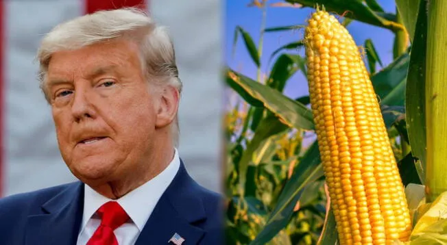 Donald Trump tomó la decisión de eliminar los edulcorantes de maíz y varios agricultores están en contra de esta medida.