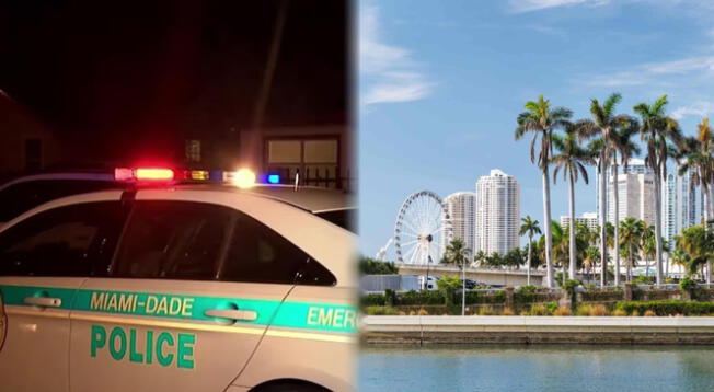 Un caso de asesinato-suicidio se reportó en el condado de Miami-Dade. Un caso de asesinato-suicidio se reportó en el condado de Miami-Dade.