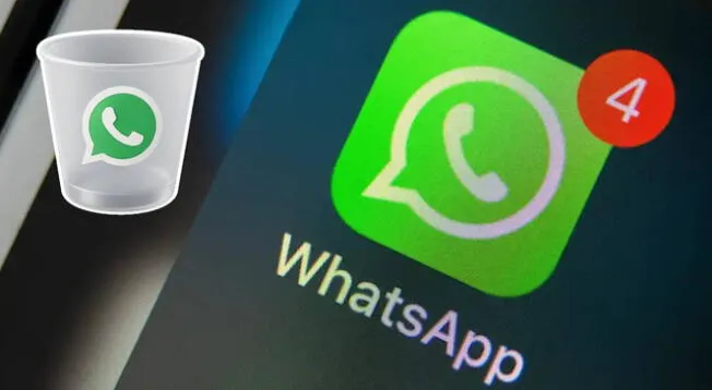 Aprende a utilizar de forma correcta la Papelera de WhatsApp para liberar espacio de tu smartphone Android. Aprende a utilizar de forma correcta la Papelera de WhatsApp para liberar espacio de tu smartphone Android.