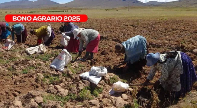 Consulta sobre el Bono Agrario en el Perú Consulta sobre el Bono Agrario en el Perú