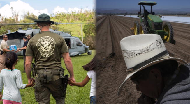 Las redadas de ICE en diferentes granjas ocasionaron que haya escasez de trabajadores por miedo a ser deportados de Estados Unidos. Las redadas de ICE en diferentes granjas ocasionaron que haya escasez de trabajadores por miedo a ser deportados de Estados Unidos.