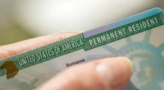 Esta es la edad que debes tener como mínimo para renovar tu Green Card. Esta es la edad que debes tener como mínimo para renovar tu Green Card.