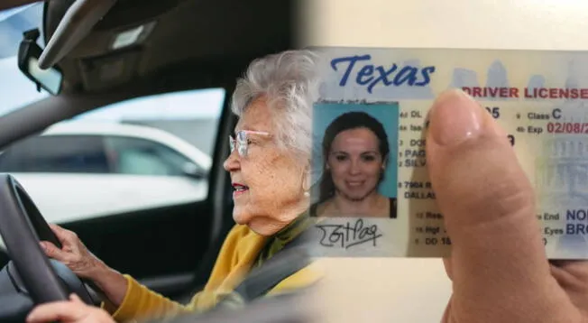 Los adultos mayores deben seguir estos pasos para renovar su licencia. Los adultos mayores deben seguir estos pasos para renovar su licencia.
