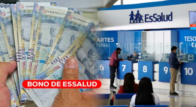 Accede a todos los detalles sobre el  bono o subsidio por lactancia de EsSalud.