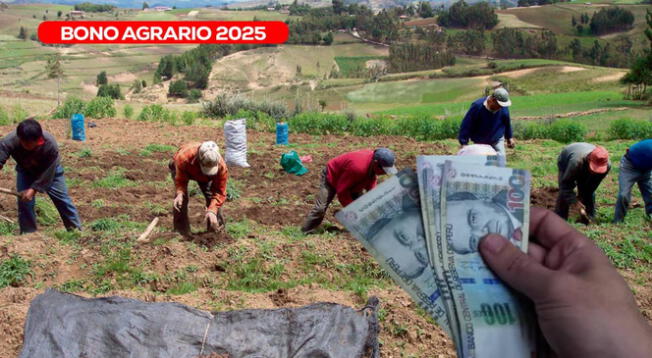 Bono Agrario 2025: consulta sobre el pago de la subvención Bono Agrario 2025: consulta sobre el pago de la subvención