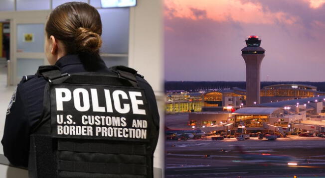 Agentes de CBP incautaron carne de animales salvajes procedentes de África.
