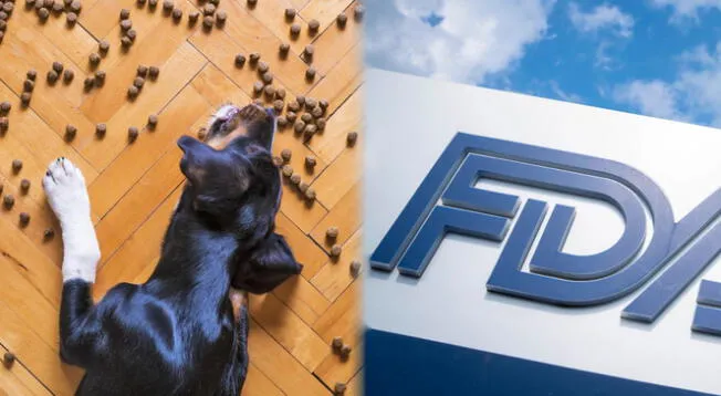 Se sacó de las vitrinas de los locales comerciales comida para animales por tener bacterias infecciosas.