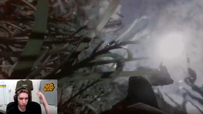 Foto: Twitch    