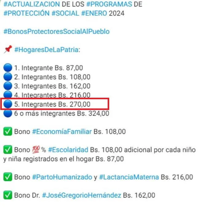 Nuevo Bono de la Patria se entrega desde enero 2024. | Foto: X   