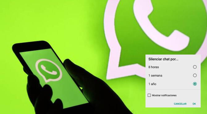 Whatsapp Permitirá Silenciar Conversaciones Para Siempre Foto 3027