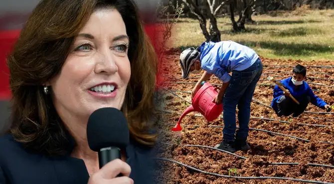 Kathy Hochul busca reforzar los derechos laborales del sector agrario.