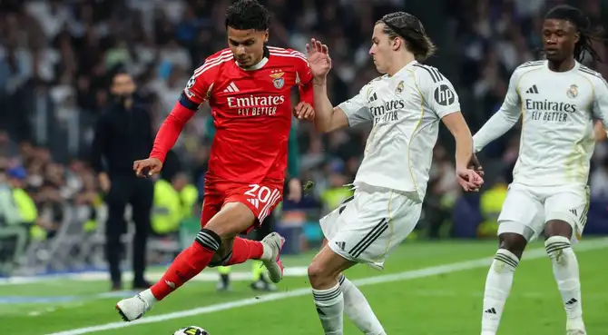 Real Madrid vs. Benfica juegan EN VIVO y EN DIRECTO HOY por los playoffs de la Champions League.