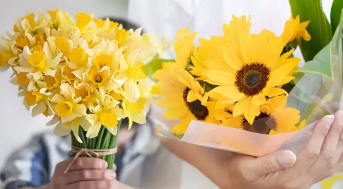 Frases por el Día de las flores amarillas este 21 de marzo Frases por el Día de las flores amarillas este 21 de marzo