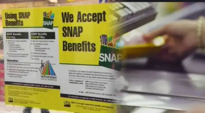 SNAP en EE. UU.: reportan esquema de fraude con los beneficios del programa en este estado.