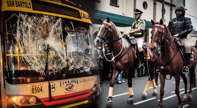 Un caballo de la Policía Nacional de Perú fue atropellado por el Estadio Nacional durante la Noche Blanquiazul 2024.