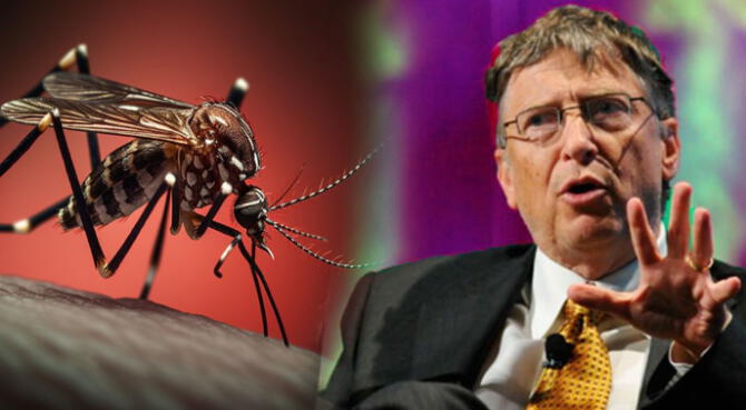 Bill Gates ha estado en boca de millones de conspiranoicos que lo acusan de propagar enfermedades tropicales
