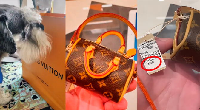 empleo sangrado peligroso Peruano compró cartera Louis Vuitton de S/ 3500 para recoger heces de su  'perrito magnate'