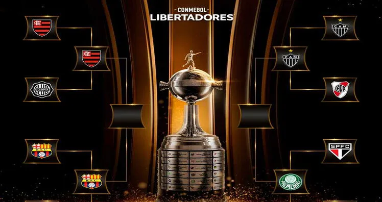 Copa Libertadores En Vivo Barcelona Mineiro Flamengo Y Palmeiras A Semifinales